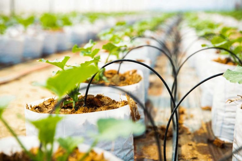 ASFA | serres agricoles modernes | système d'irrigation agricole durable | irrigation de précision Afrique