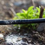 ASFA | Système d'irrigation en Côte d'Ivoire