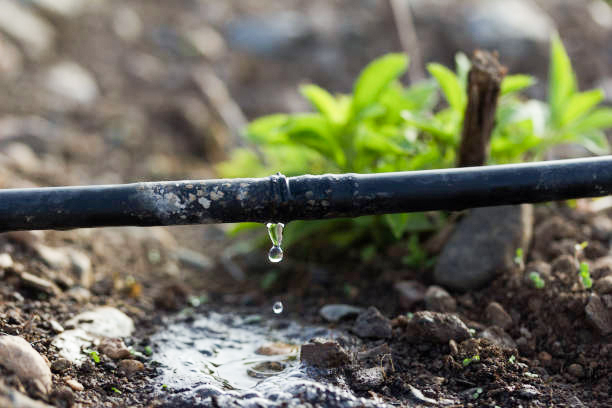 ASFA | Système d'irrigation en Côte d'Ivoire