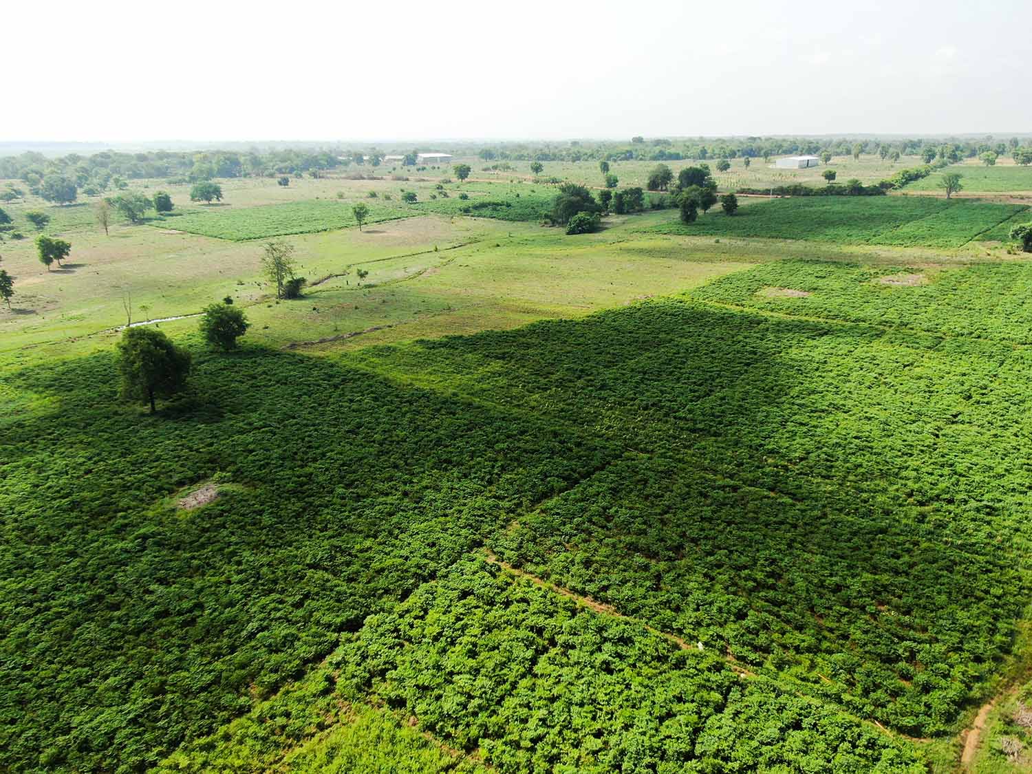 ASFA | Cartographie agricole