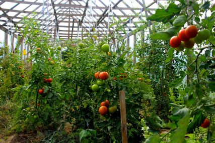Sèrres agrcioles | ASFA
