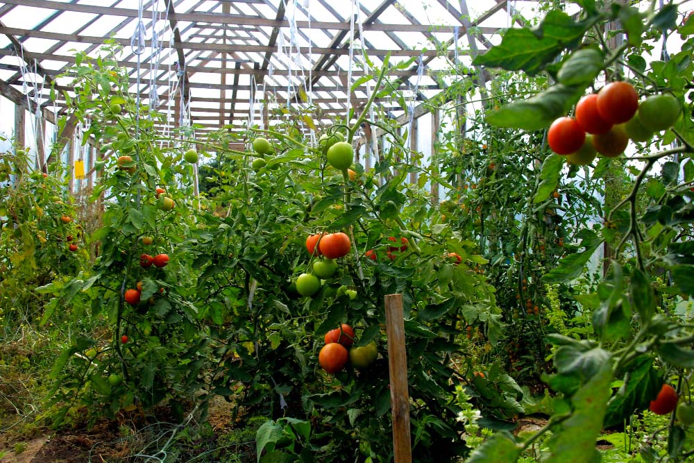Sèrres agrcioles | ASFA