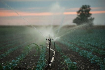 Irrigation par aspersion