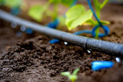 ASFA | IRRIGATION GOUTTE 0 GOUTTE